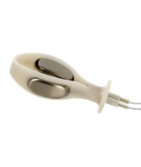 Zeus Electro Pussy Probe