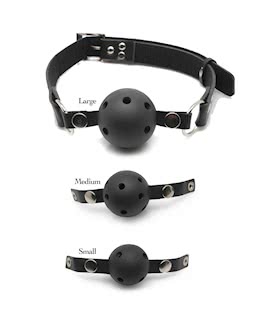 FF Ball Gag Training System