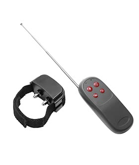 Cock Shock Remote CBT Electric Cock Ring