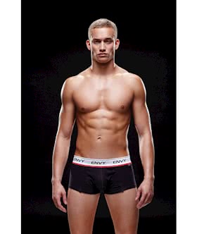 Envy Logo Elastic LowRise Brief M L