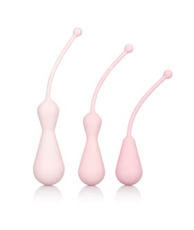 Inspire Weighted Silicone Kegel Training Kit