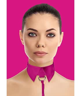 Classic Collar with Leash