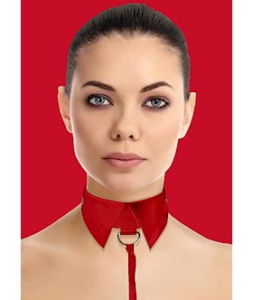 Classic Collar with Leash