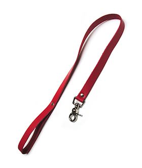 Leather Leash