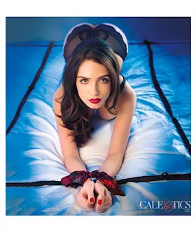 Scandal 8 Points Of Love Bed Restraint