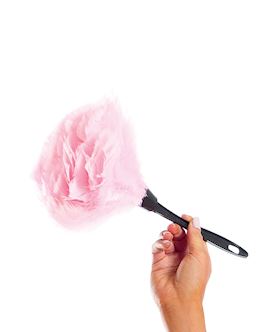 Feather Duster