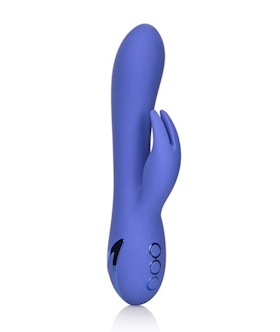 California Dreaming Beverly Hills Bunny