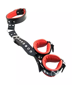 Rouge Leather To Neck Wrist Restraints