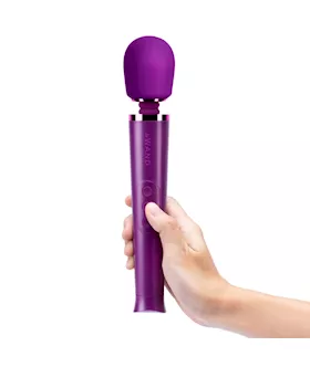 Le Wand Petite Rechargeable Massager 