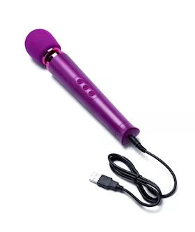 Le Wand Petite Rechargeable Massager 