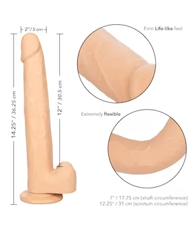 Size Queen Dildo