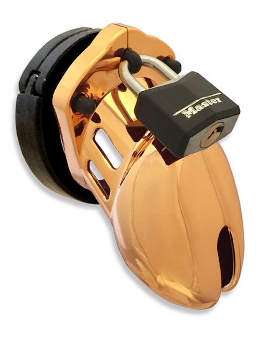 CB6000S Gold Chastity Device 25