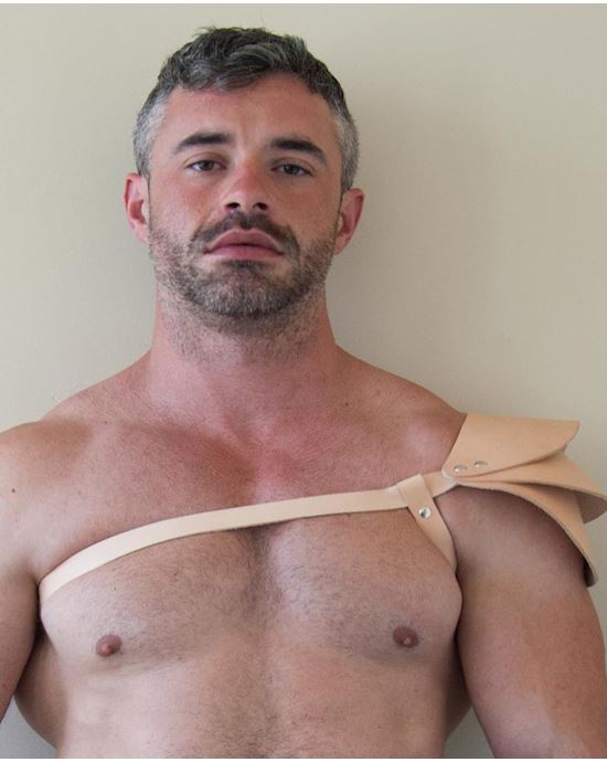 Apollo Harness