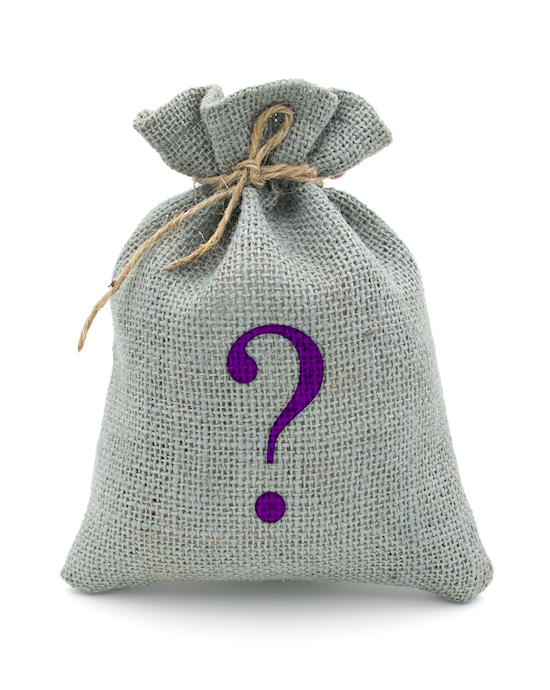 Mystery Bag Anal Toy