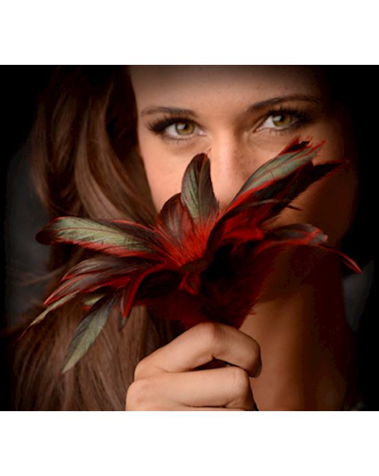 GreyGasms Scarlet Plume Feather Tickler